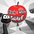 Jeu Black and white snake